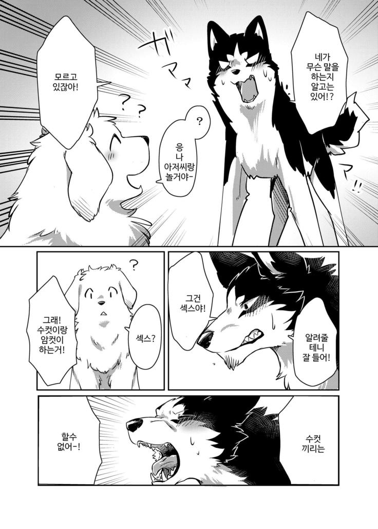 More, more.