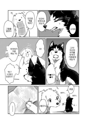 Image 3173922