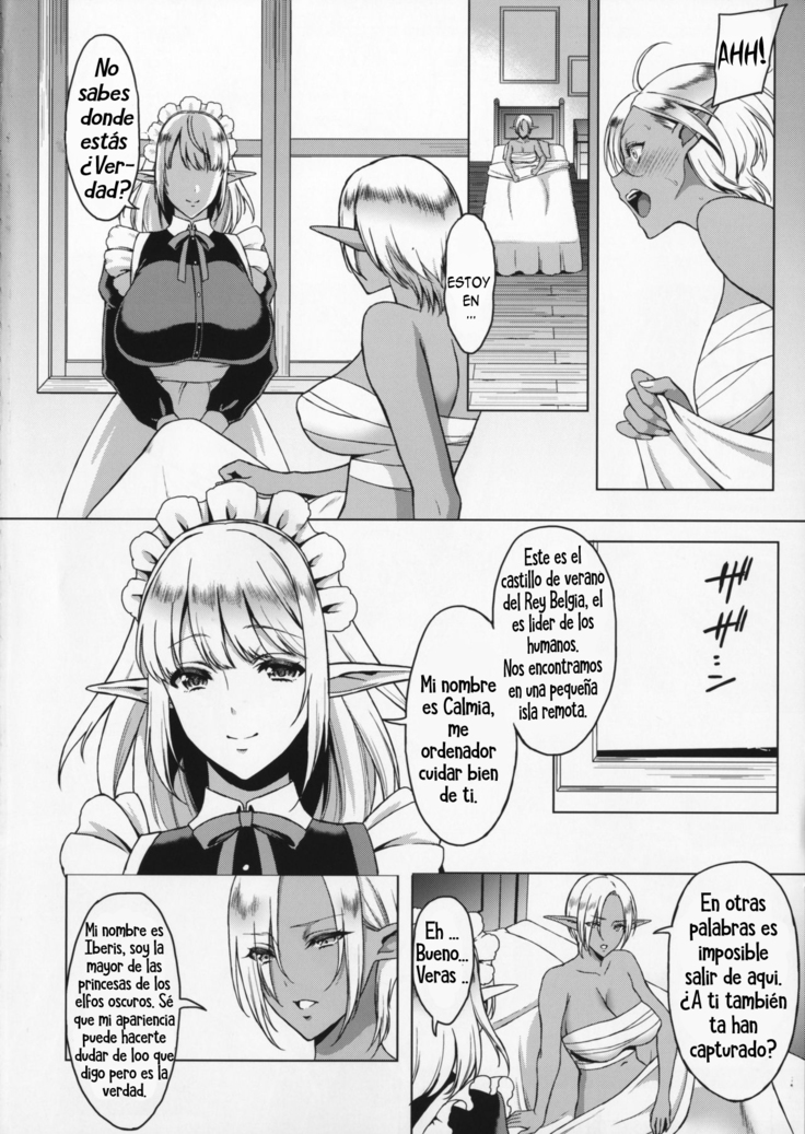 Reizoku Elf Maid + C91 Kaijou Genteibon | Elf Maid Slaves
