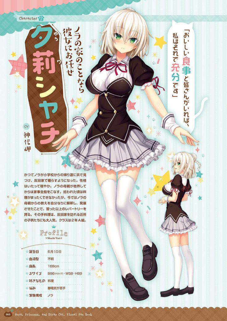 ノラと皇女と野良猫ハート -Nora, Princess, and Stray Cat.- ビジュアルファンブック