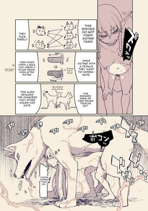 Dosukebe Elf no Ishukan Nikki 9 - Page 28