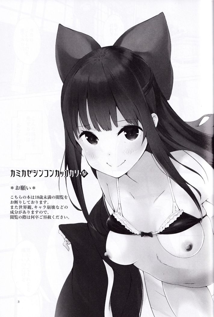 Kamikaze Shinkon Kakko Kari San
