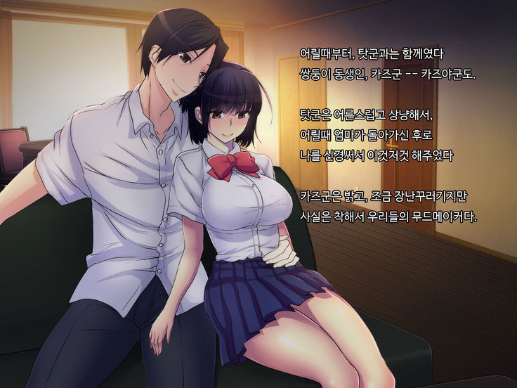 ani sex > otouto sex