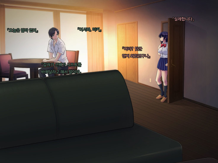 ani sex > otouto sex