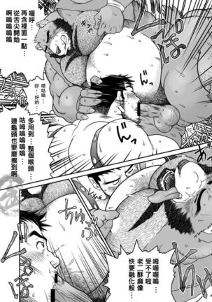 Mori no Kuma-san