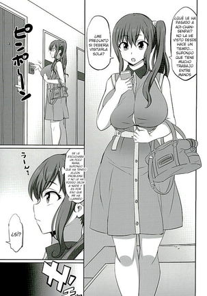 Mesu Buta Seisaku Shinkouchuu R