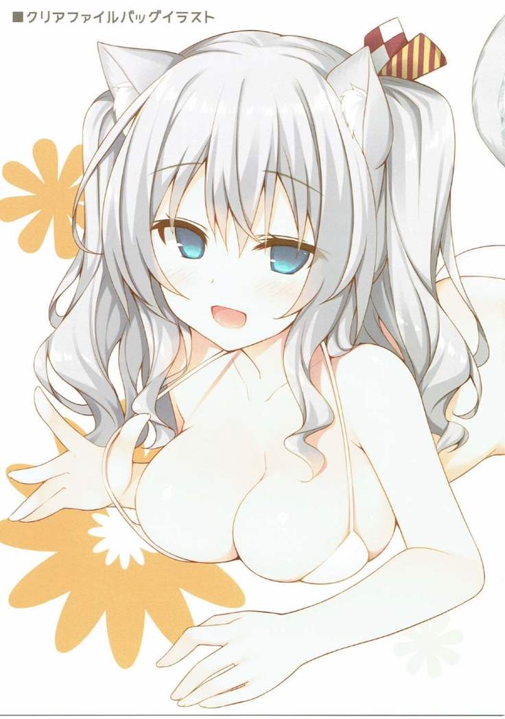 Kashima Neko-ka Sakusen