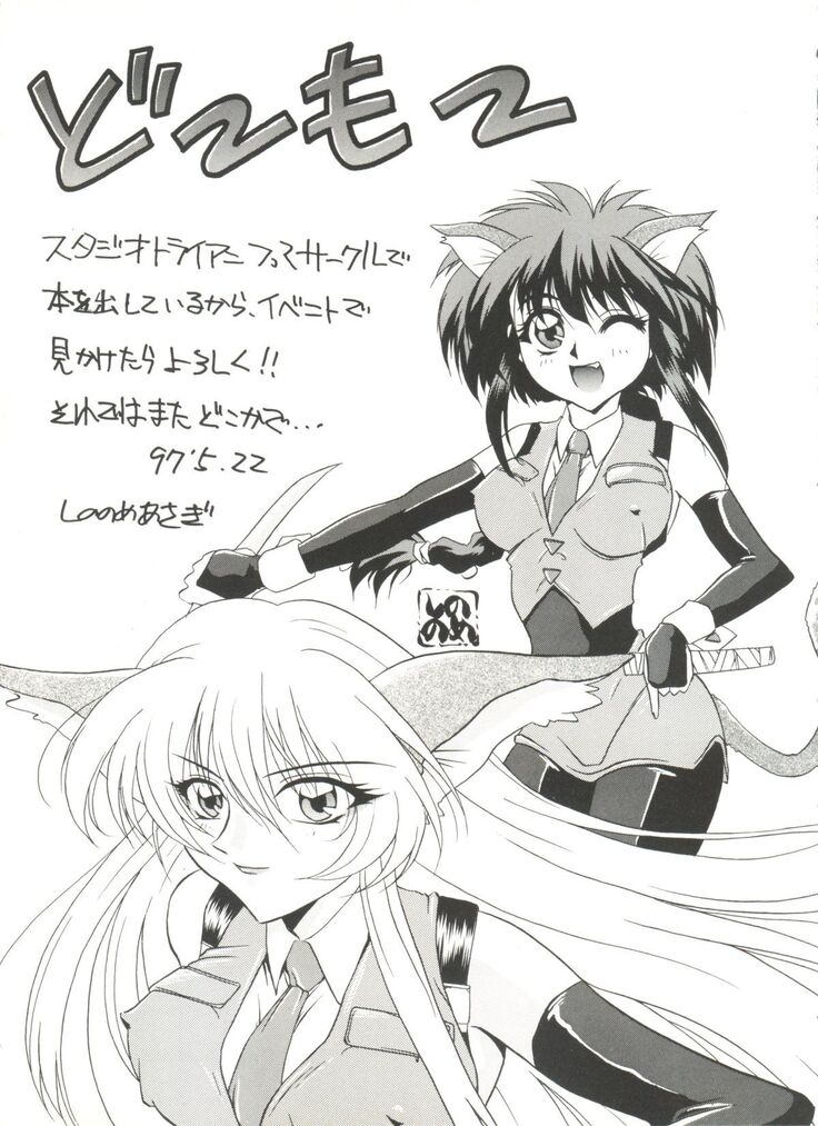 Aniparo Miki 8