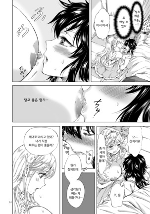 Seinaru Chichi no Elf Hime | 성스러운 가슴의 엘프 공주 Page #24