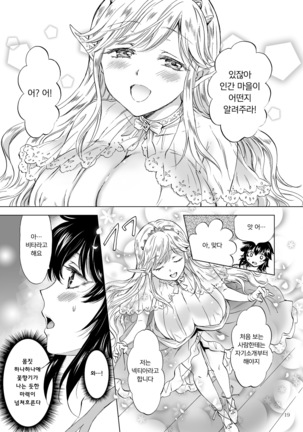 Seinaru Chichi no Elf Hime | 성스러운 가슴의 엘프 공주 - Page 19