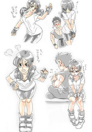 Gohan x Videl Stuff