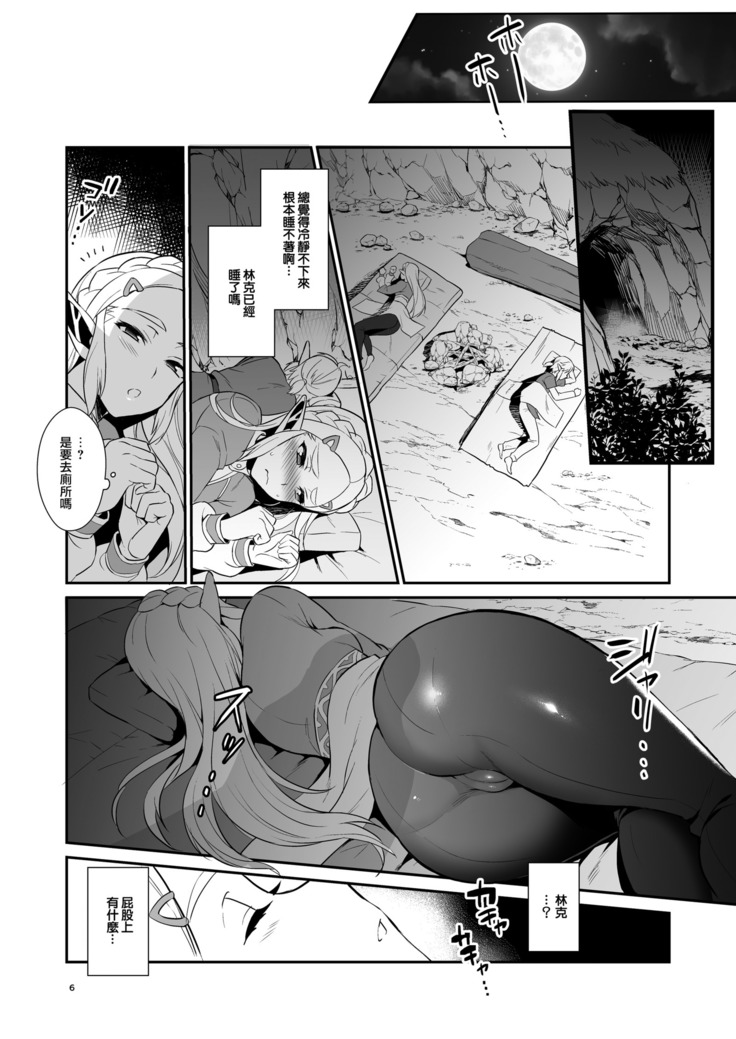 Hyrule Hanei no Tame no Katsudou!