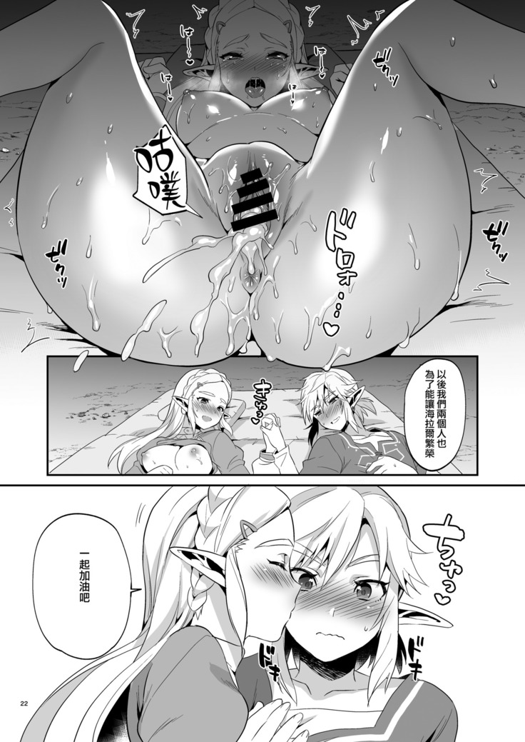 Hyrule Hanei no Tame no Katsudou!