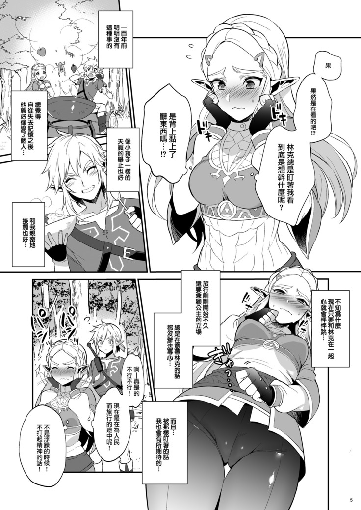 Hyrule Hanei no Tame no Katsudou!