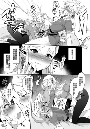 Hyrule Hanei no Tame no Katsudou! Page #13
