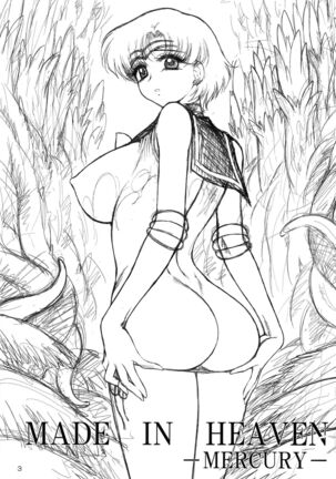 (C86) [BLACK DOG (Kuroinu Juu)] MADE IN HEAVEN -MERCURY- Junbi gou (Bishoujo Senshi Sailor Moon) - Page 3