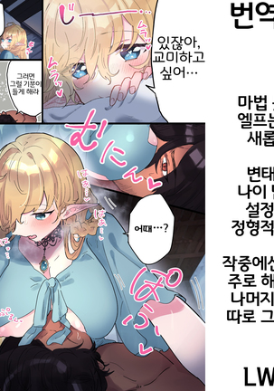 Tsumahajiki-mono no Somnia 3 | 배척된 자의 썸니아3 Page #37
