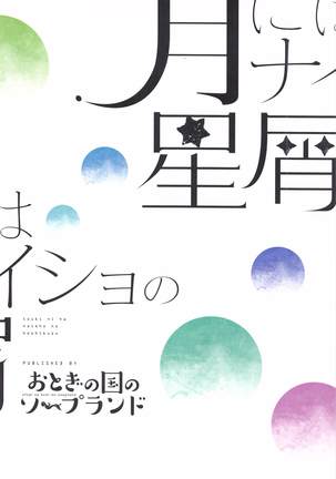 Tsuki ni wa Naisho no Hoshikuzu Page #19