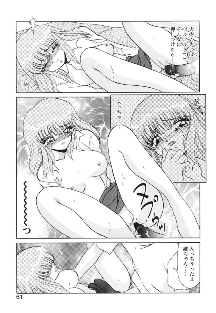 Koakuma no Jouken