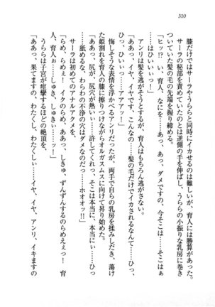 トリプル押しかけお姫様 - Page 314
