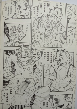 Street Cat Page #16