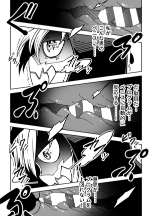 Bambora Page #17