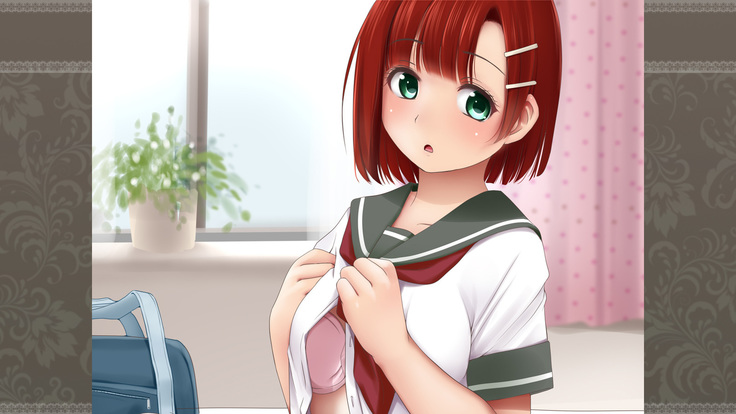 Choko Sensei to Dokidoki Les Panic ~Shimai Les Battle-hen~