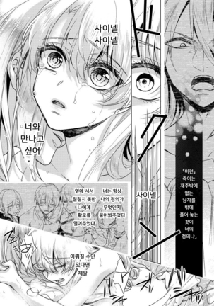 Kyououji no Ibitsu na Shuuai ~Nyotaika Knight no Totsukitooka~ Ch. 8 | 미친 왕자의 왜곡된 포로사랑 ~여체화 기사의 시월 십일~ Ch. 8 Page #16