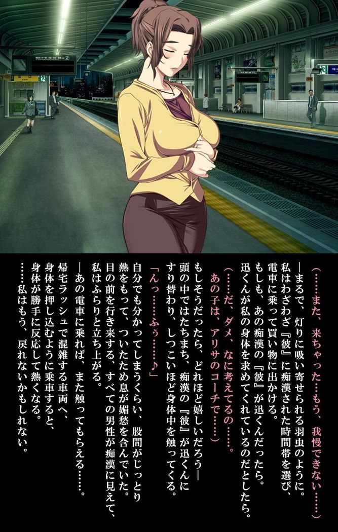 Saishuu Chikan Densha 3 ~Netorareta Yokkyuu Fuman na Hitozuma -~