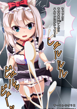 ハムマンにスカート捲らせてオナニーを見せつける話 Page #14