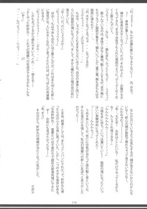 Touhou Oniku Goudou-san - Page 113