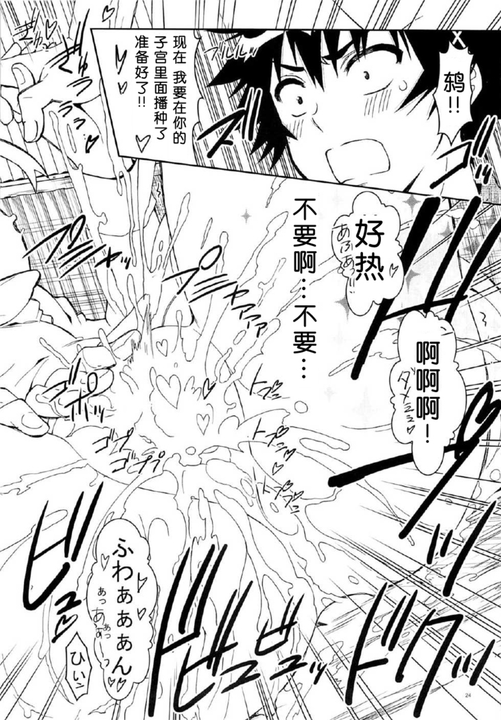 Nisenisekoi 7