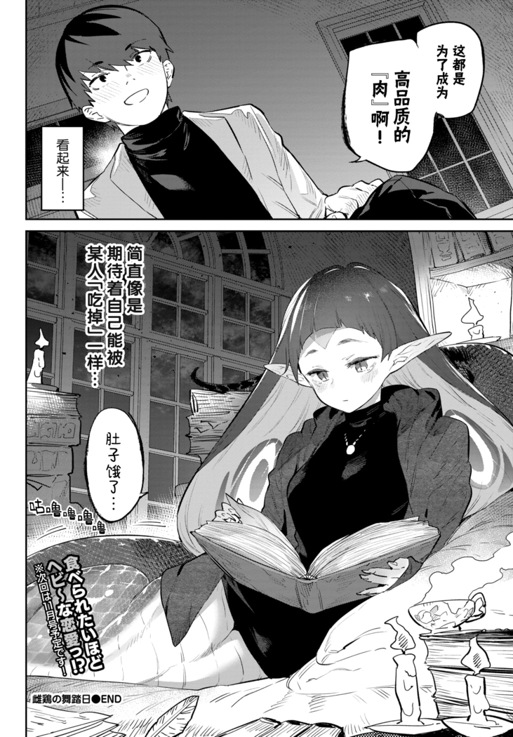 Mesu Niwatori no Butoubi