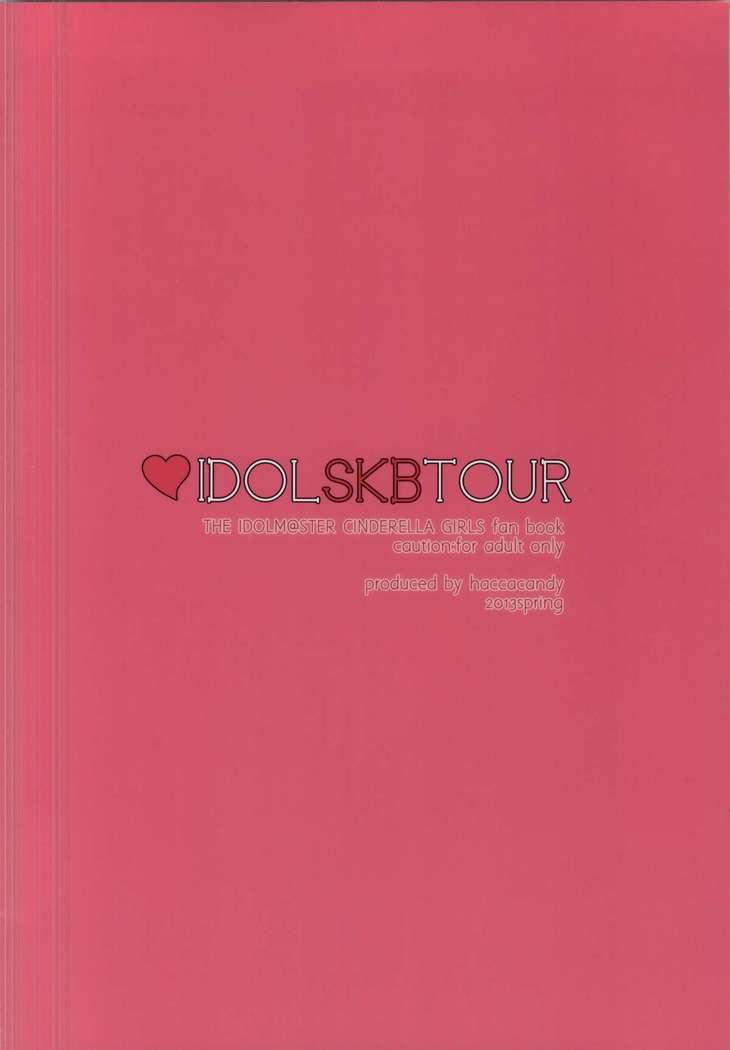 Idol SKB Tour