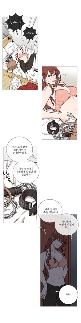 Sadistic Beauty Ch.0-30
