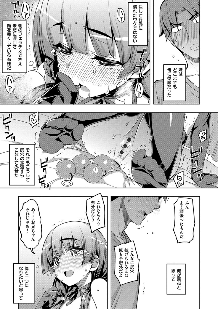 Fukutsu no Perorist