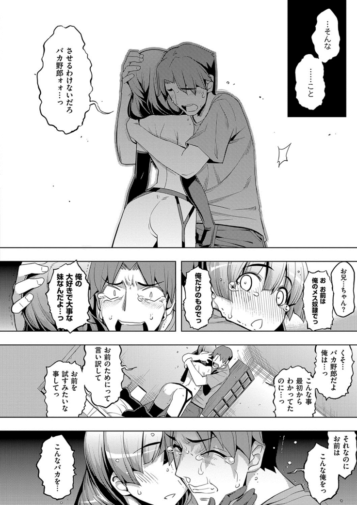 Fukutsu no Perorist