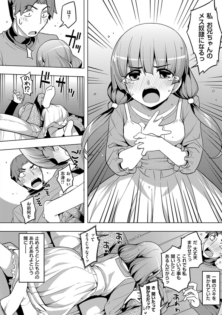 Fukutsu no Perorist