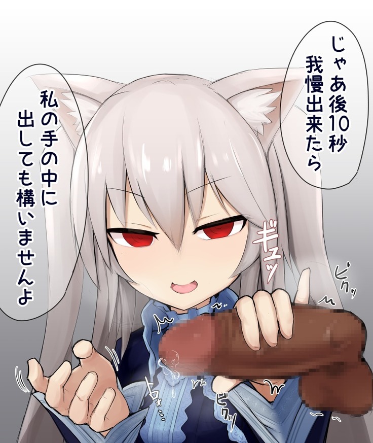 Shasei Kanri Cat