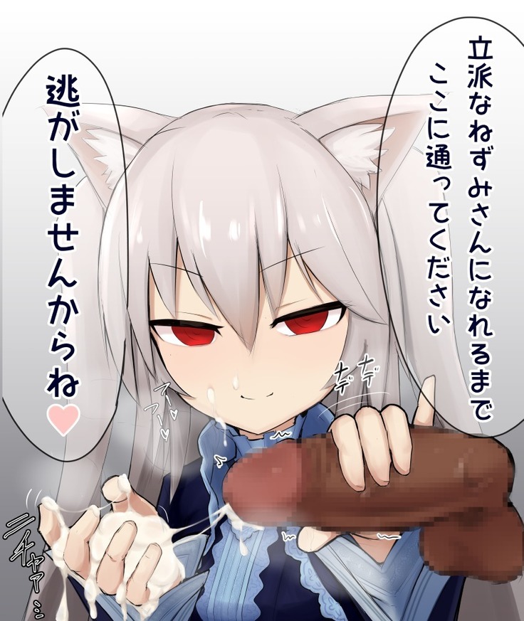 Shasei Kanri Cat