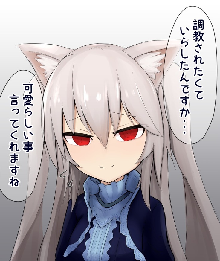 Shasei Kanri Cat