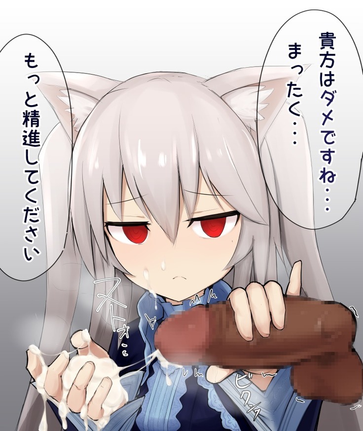 Shasei Kanri Cat