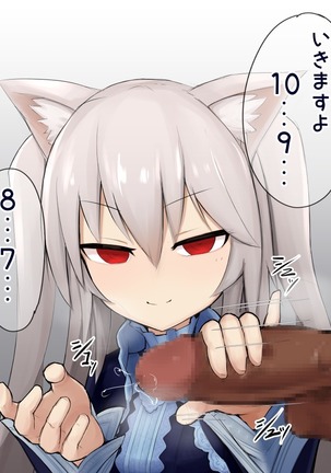 Shasei Kanri Cat