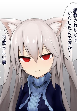Shasei Kanri Cat