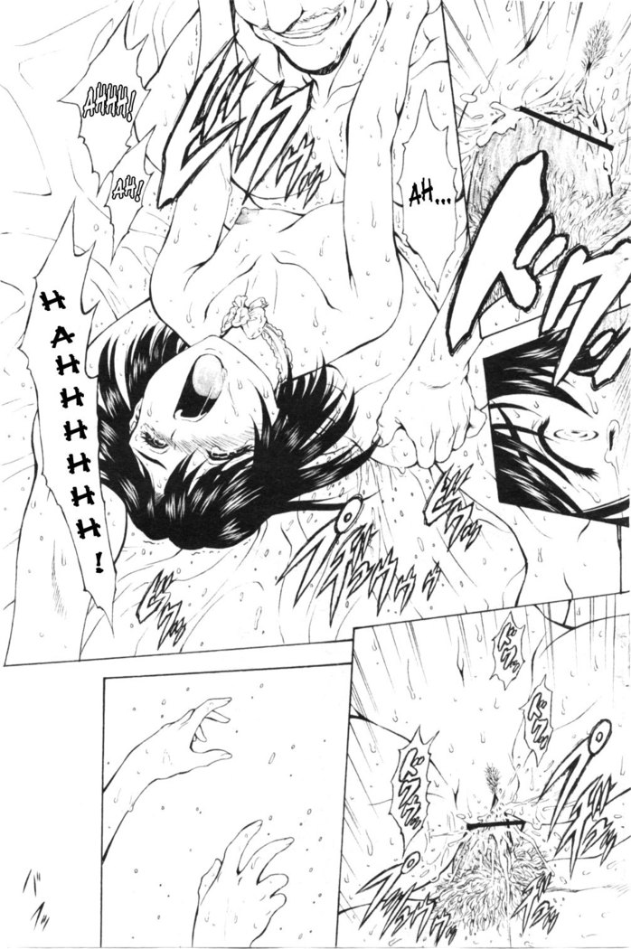 Ginryuu no Reimei | Dawn of the Silver Dragon Vol. 4