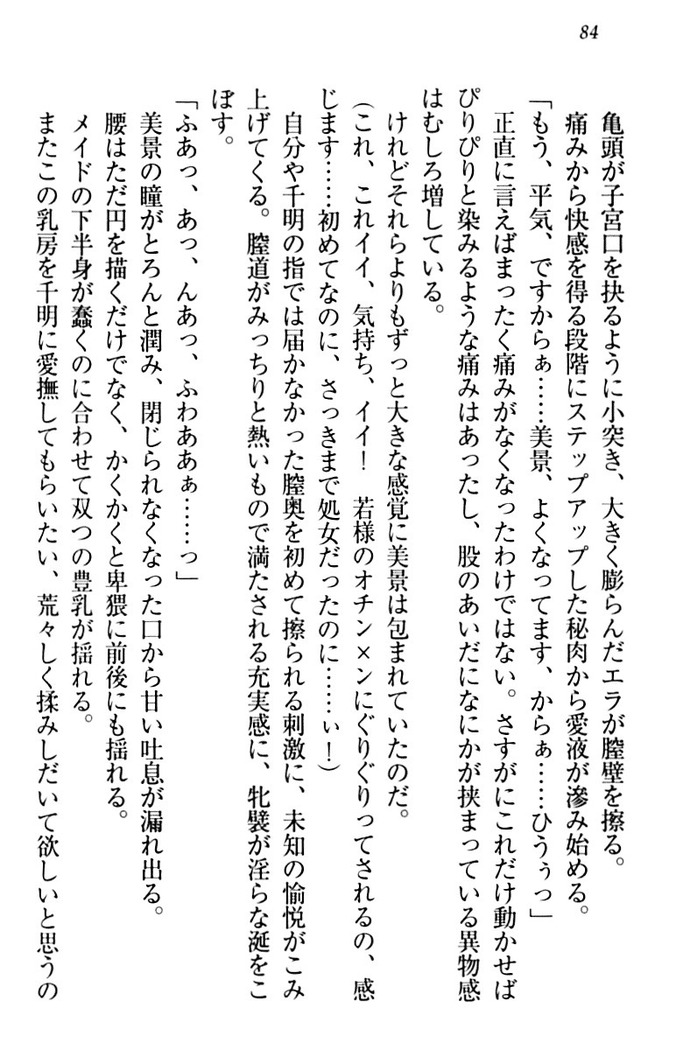 年上メイドの新婚日記