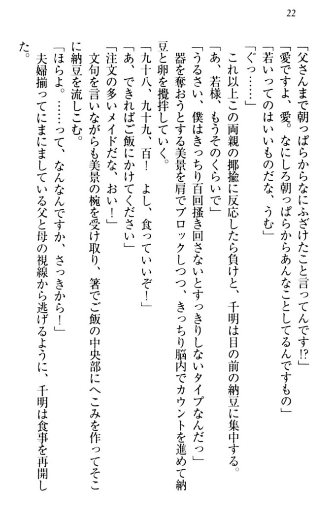 年上メイドの新婚日記