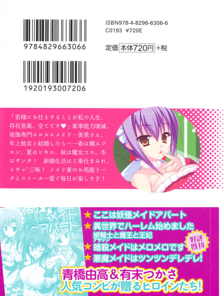 年上メイドの新婚日記