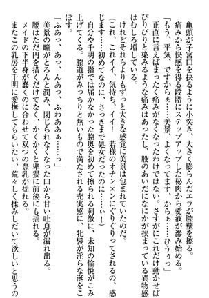 年上メイドの新婚日記 Page #94