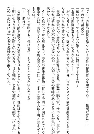 年上メイドの新婚日記 Page #133